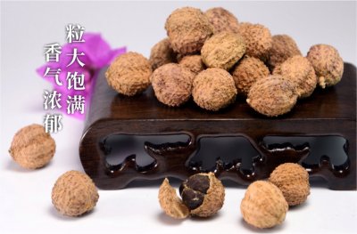 砂仁