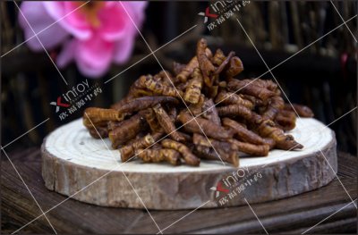 蜜远志